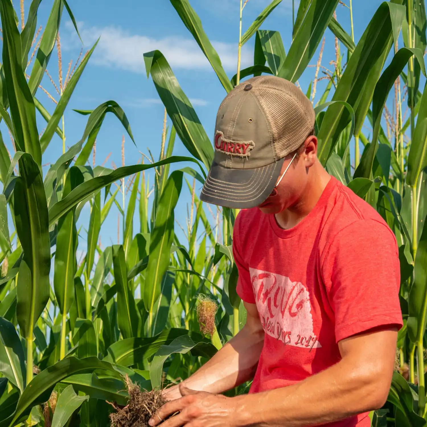 father and son standing in a field