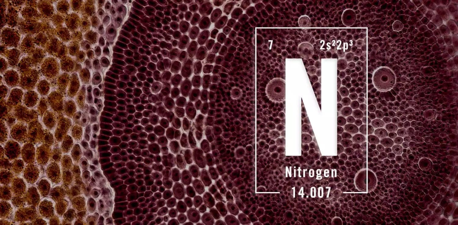 nitrogen elemental background