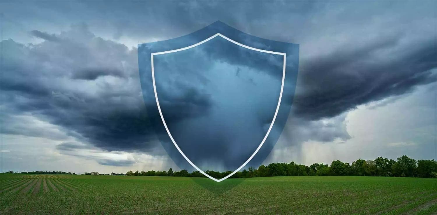 shield in front of a storm