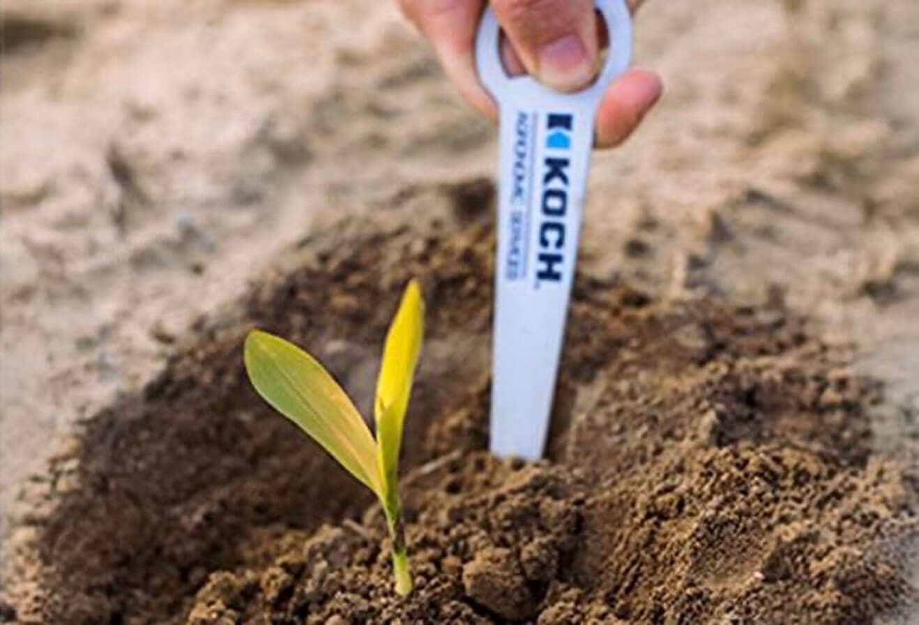 Micro but Mighty support image