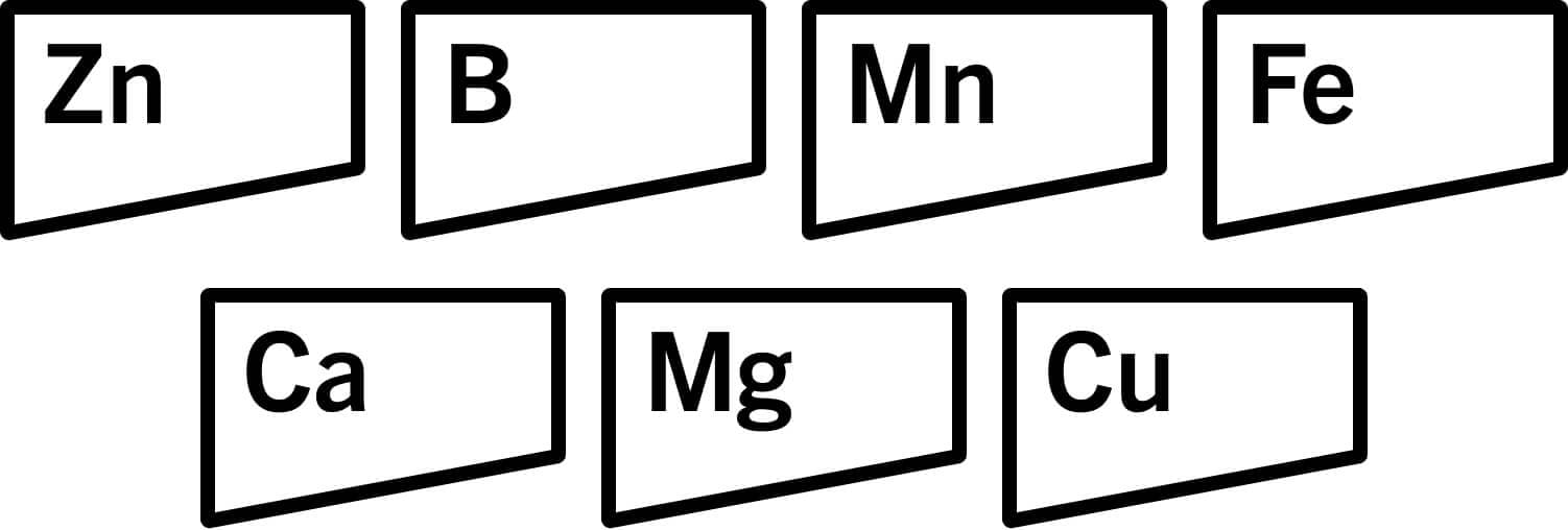Nutrition graphic