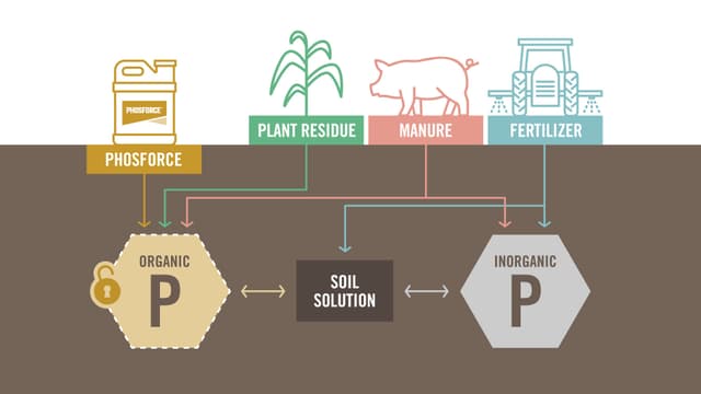 Phoforce Koch Agronomic Services - PHOSFORCE™ Nutrient Enhancer